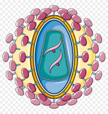 Hiv - Smart Servier Medical Art Hiv