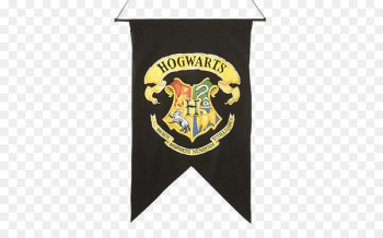 Hogwarts Harry Potter Common room Hermione Granger Professor Severus Snape - Harry Potter 