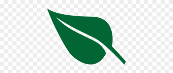 Hoja - Leaf Hoja - Leaf
