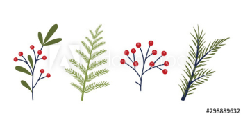 Holiday set of beautiful christmas tree branch, leaves and berries Holiday set of beautiful christmas tree branch, leaves and berries