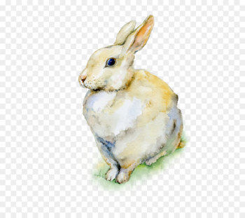 Holland Lop Easter Bunny Watercolor painting Rabbit - rabbit Holland Lop Easter Bunny Watercolor painting Rabbit - rabbit