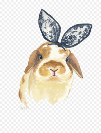 Holland Lop Rabbit Watercolor painting Printmaking - Lace bow Rabbit picture material 