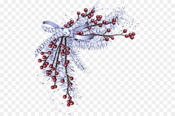 Holly