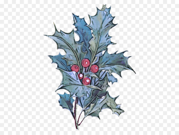 Holly