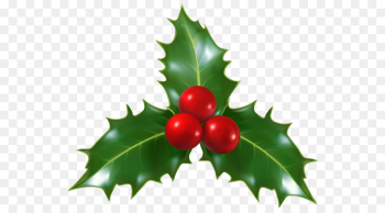 Holly