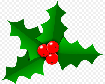 Holly