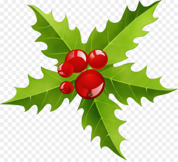 Holly