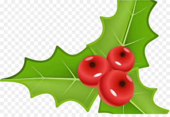 Holly