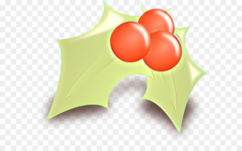 Holly