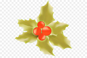 Holly