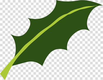 Holly leaf miner Plant stem Common holly, Holly tree transparent background PNG clipart
