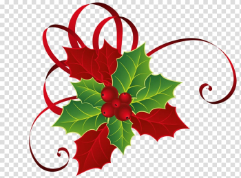 Holly Mistletoe Christmas , Mistletoe transparent background PNG clipart