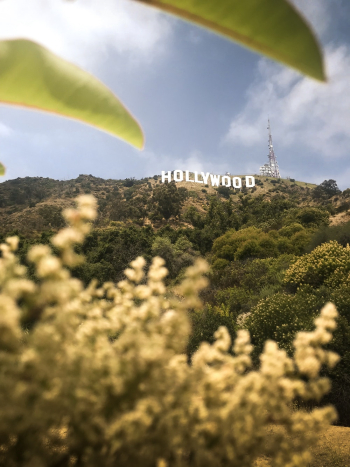 Hollywood Sign Hollywood Sign