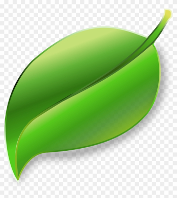 Home Alcachofa Natural Ingredients Chlorella Algae - Leaf Png Transparent Home Alcachofa Natural Ingredients Chlorella Algae - Leaf Png Transparent