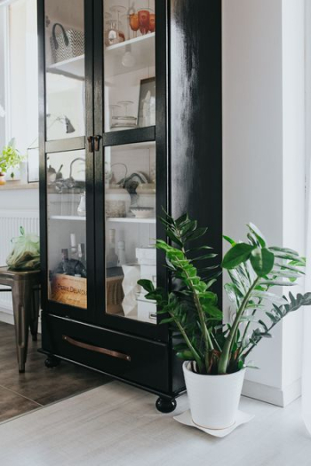 Home decor with green plants Home decor with green plants