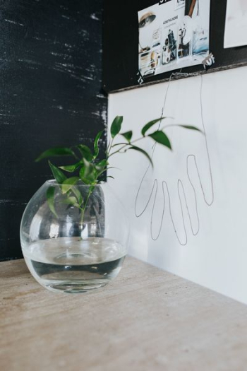 Home decor with green plants Home decor with green plants