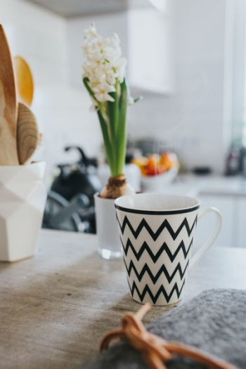 Home decor with green plants Home decor with green plants