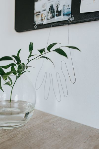 Home decor with green plants Home decor with green plants