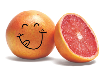 Home - Happy Food Citrus Home - Happy Food Citrus