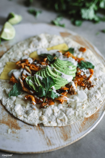 Homemade mushroom quesadilla food photography.. | Free stock photo - 501241 Homemade mushroom quesadilla food photography.. | Free stock photo - 501241