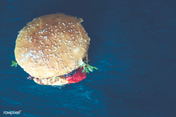 Homemade veggie burger with aubergine | Free public domain photo - 432593 Homemade veggie burger with aubergine | Free public domain photo - 432593
