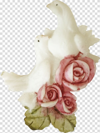 Homing pigeon Columbidae Rose Bird, White pigeon pink roses transparent background PNG clipart