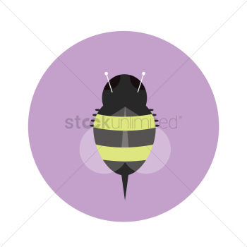 Honey bee