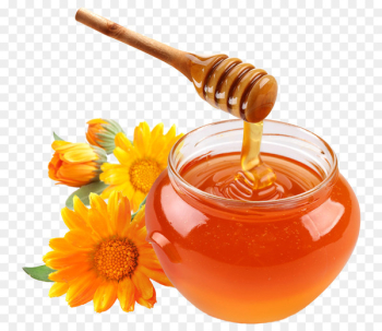 Honey bee Food Ingredient Monofloral honey - honey 