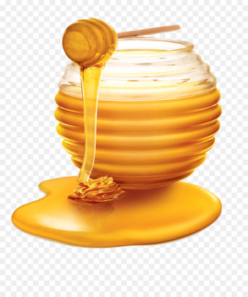 Honey bee Honey bee Honeycomb - Honey PNG Photos 