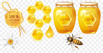 Honey bee Honeycomb - Bee theme 
