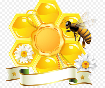 Honey bee Honeycomb Beehive - Yellow honey 