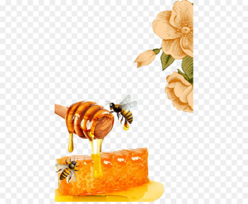 Honey bee Honeycomb Beeswax - Honey bees Honey bee Honeycomb Beeswax - Honey bees