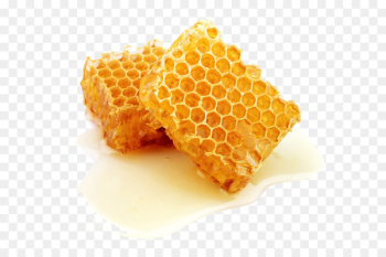 Honey bee Honeycomb Comb honey - honey 