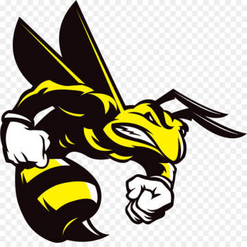 Honey bee Hornet Insect - Angry bee 
