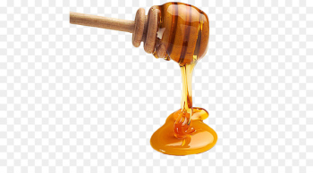 Honey Euclidean vector - honey 