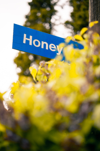 Honey Signage