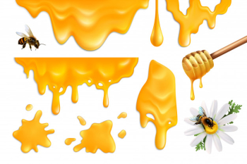 Honey splatters and bees colorful set realistic illustration Free Vector Honey splatters and bees colorful set realistic illustration Free Vector