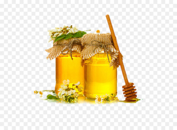 Honey Vector 