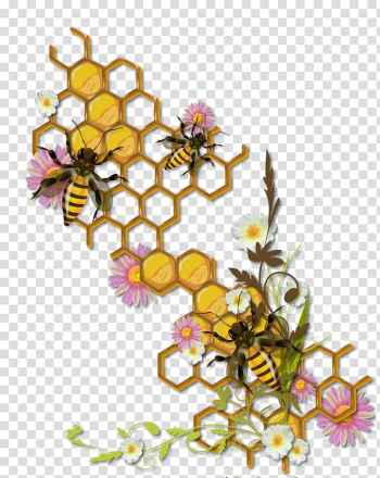 Honeycomb illustration, Beehive Insect Honey bee Bumblebee, Hand-painted honey transparent background PNG clipart