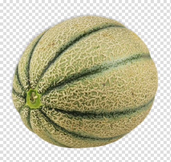 Honeydew Cantaloupe Melon Pumpkin Pregnancy, melon transparent background PNG clipart