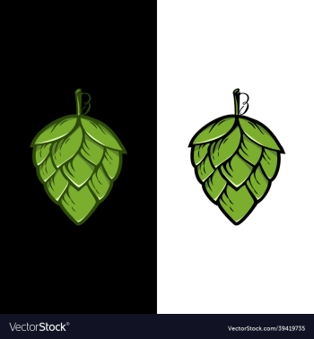 hops plant logo hop green isolated graphic hops plant logo hop green isolated graphic