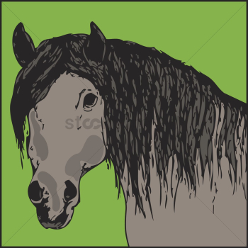 Horse Horse