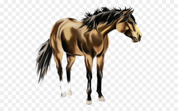 horse animal figure mane mustang horse stallion horse animal figure mane mustang horse stallion