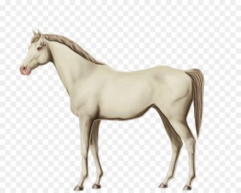 horse animal figure mare sorrel mane horse animal figure mare sorrel mane