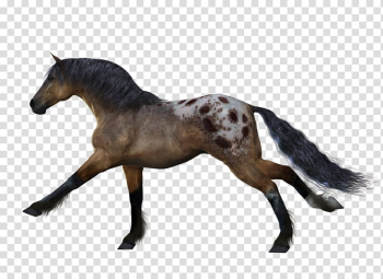 Horse Animal, Horse transparent background PNG clipart Horse Animal, Horse transparent background PNG clipart