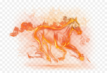 Horse Clip art Ghoray Shah Portable Network Graphics Image - horse 
