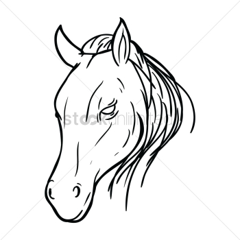 Horse face Horse face