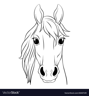 horse face lineart horse face lineart