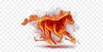 Horse Fire Flame Light - Fire Horse Horse Fire Flame Light - Fire Horse