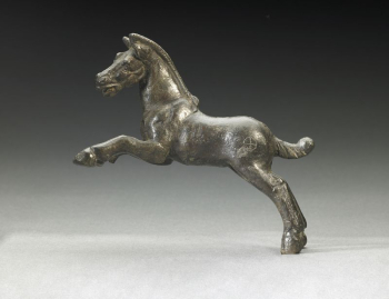 Horse | Free Photo - rawpixel Horse | Free Photo - rawpixel